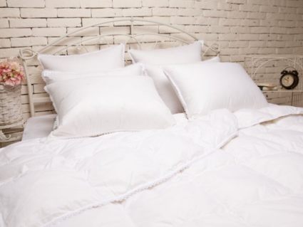 Подушка Nature’S-Natura Sanat Идеальное приданое средняя 50х70