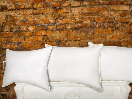 Подушка Nature’S-Natura Sanat Ружа 50х70