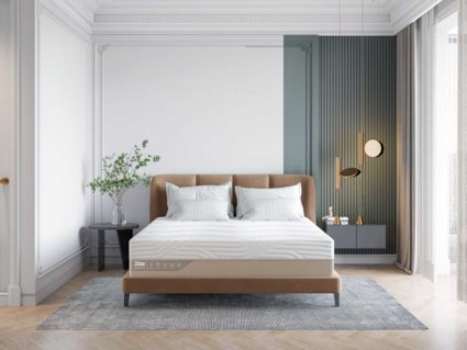 Матрас Промтекс-Ориент Duet Cocos Strutto 160х200